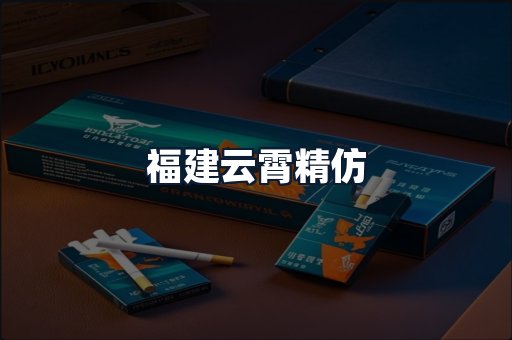 福建云霄精仿